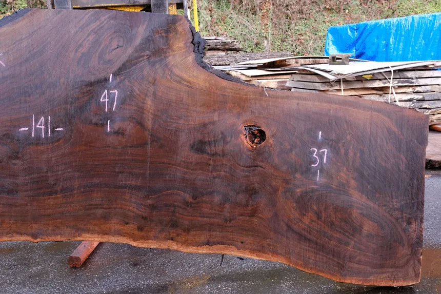 110618-02 Oregon Black Walnut Slab