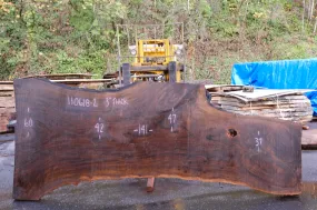 110618-02 Oregon Black Walnut Slab