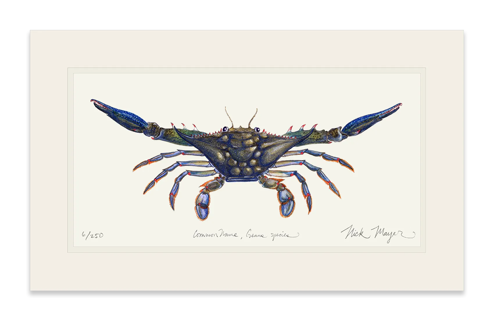 Blue Crab Claws Out Print