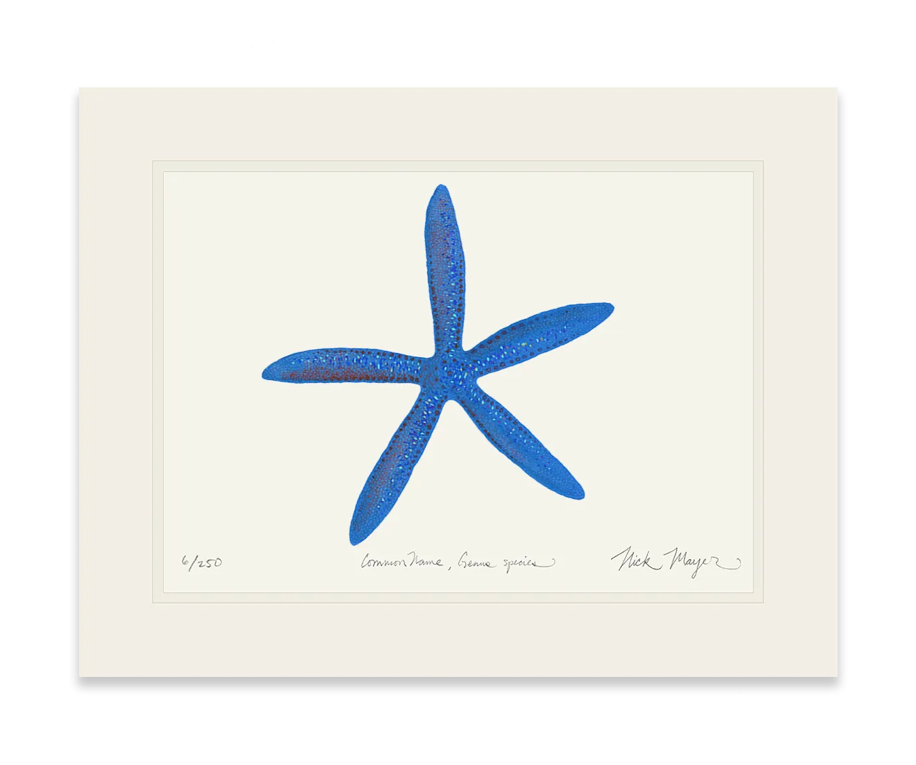 Blue Linckia I Starfish Print