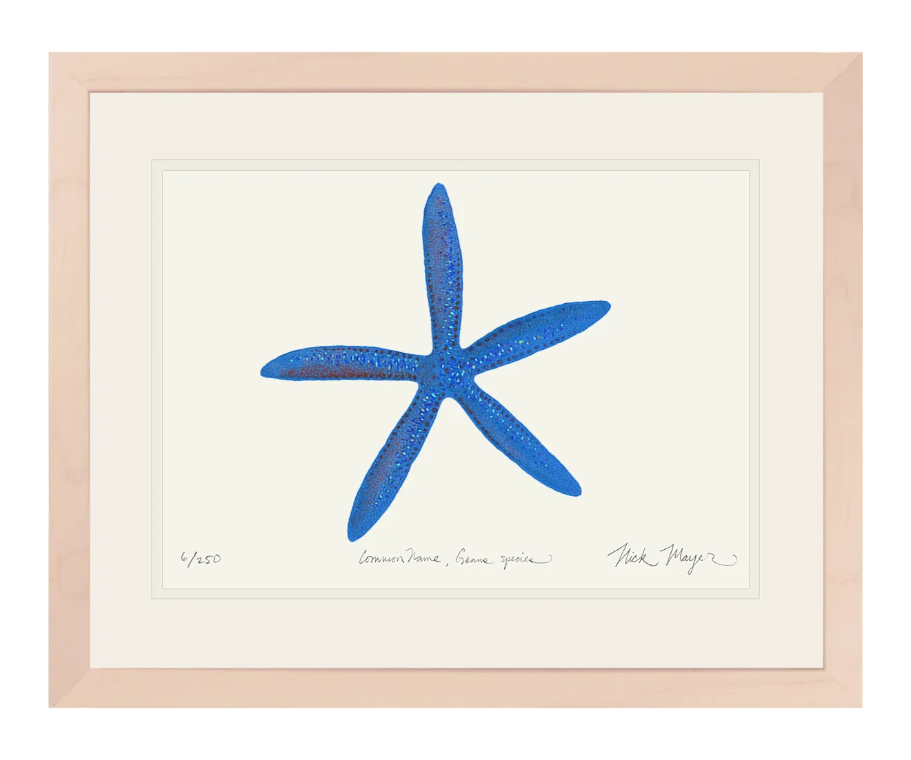 Blue Linckia I Starfish Print