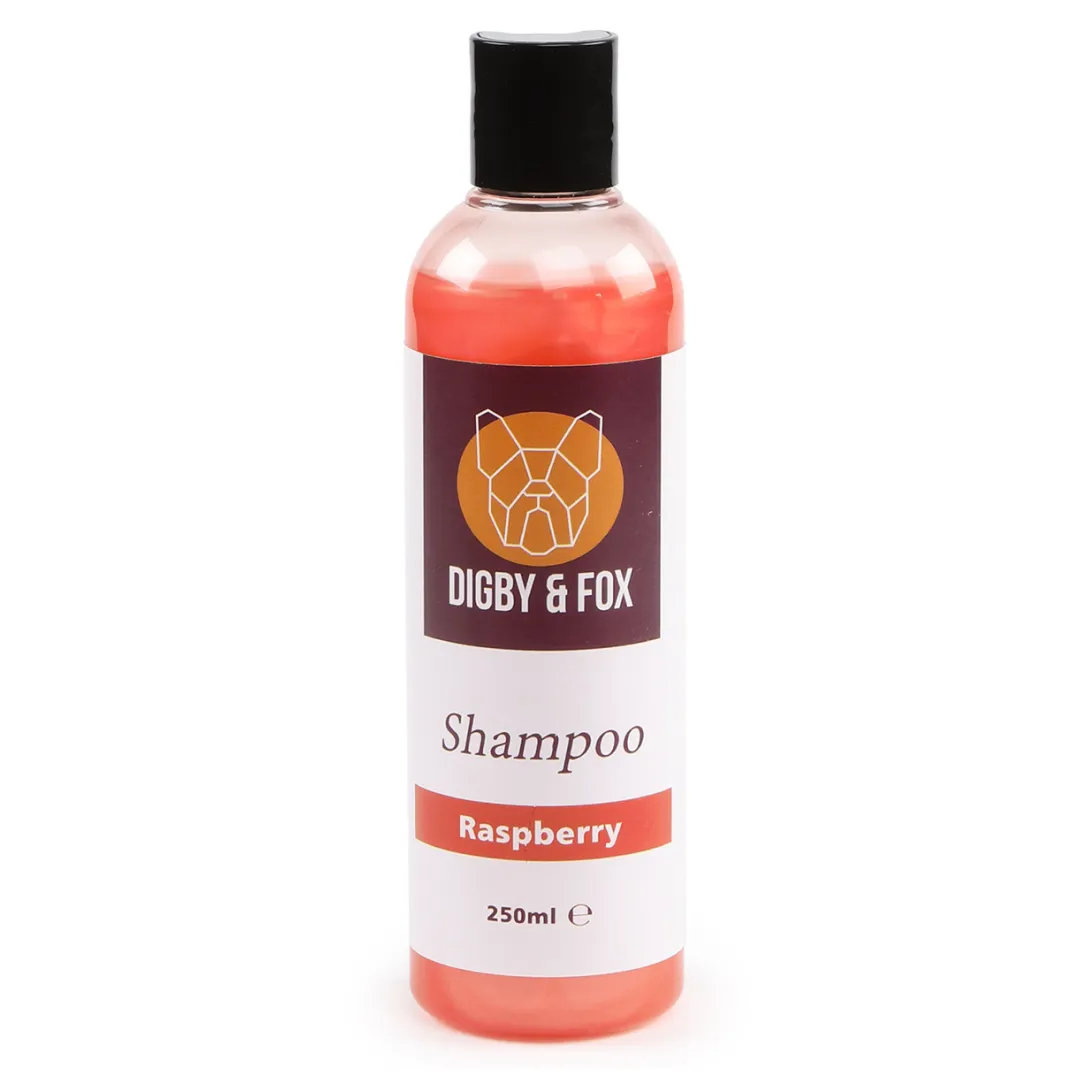 Digby & Fox Fresh Shampoo