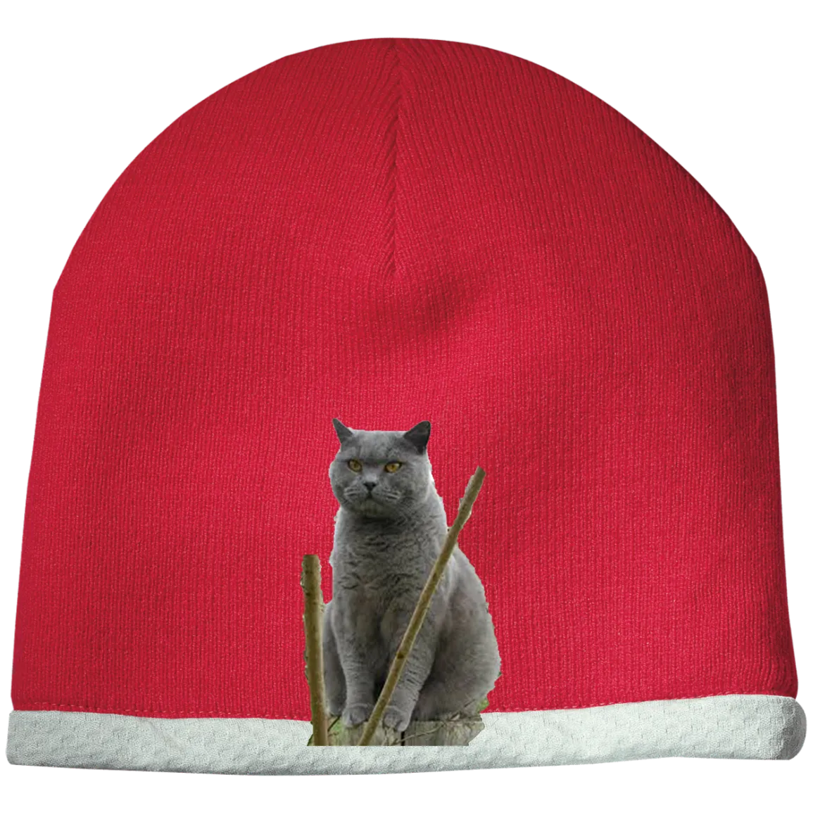 siam cat STC15 Sport-Tek Performance Knit Cap