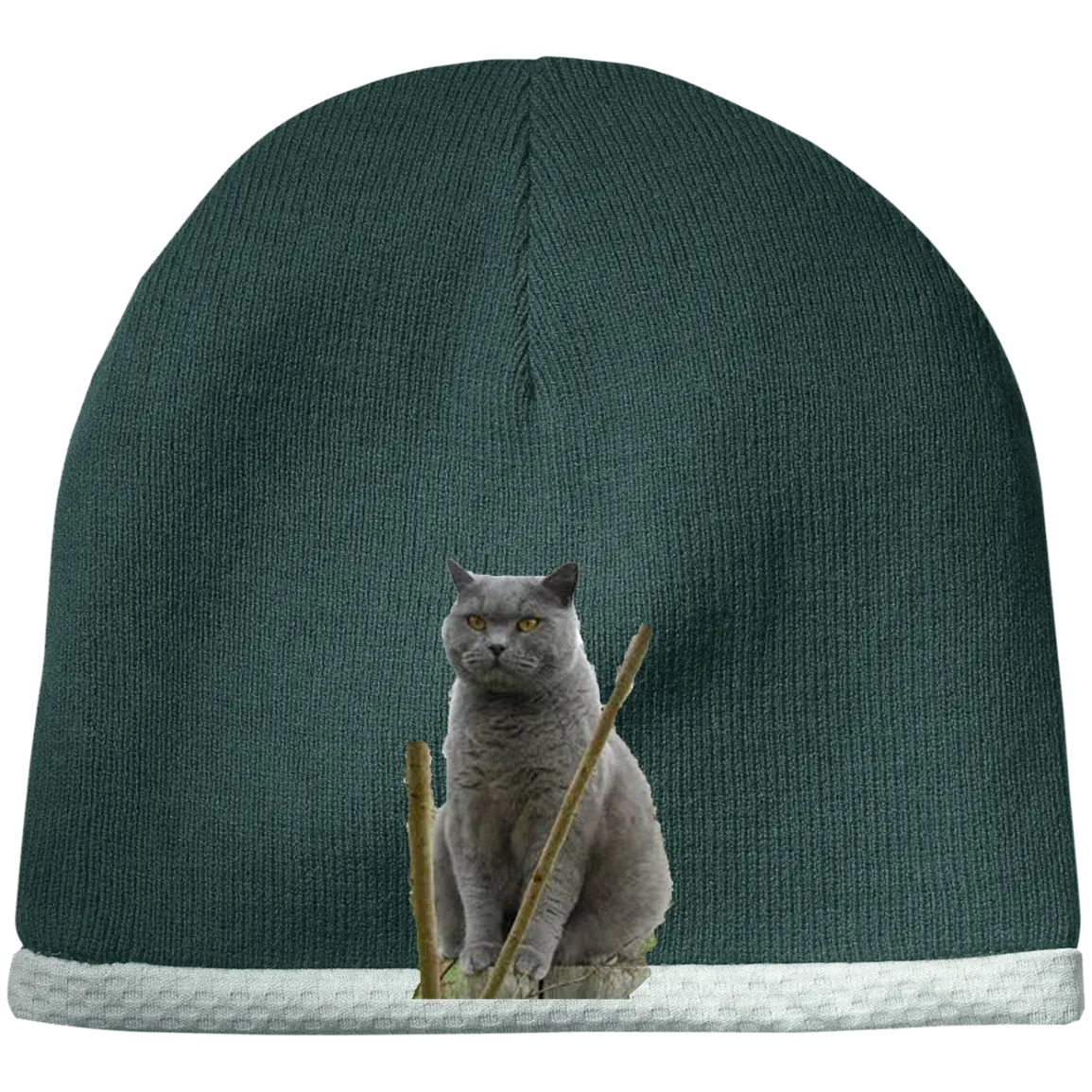 siam cat STC15 Sport-Tek Performance Knit Cap